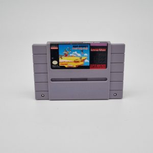 Road Runner's Death Valley Rally SNES